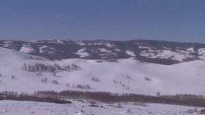 Южный Урал. Охота на волков на снегоходах.