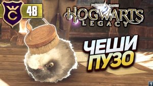 ПОЧЕСАЛИ ПУЗО ПУШИШКЕ! Hogwarts Legacy #48