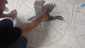 разбор мишений часть 2 ружья мр 27 сильвер дроби 3 навеска 32гр