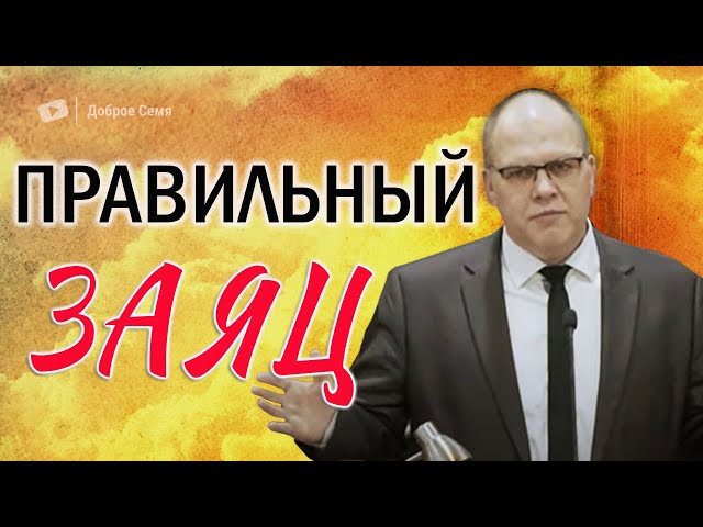 Владимир Меньшиков ｜ Правильный заяц.
