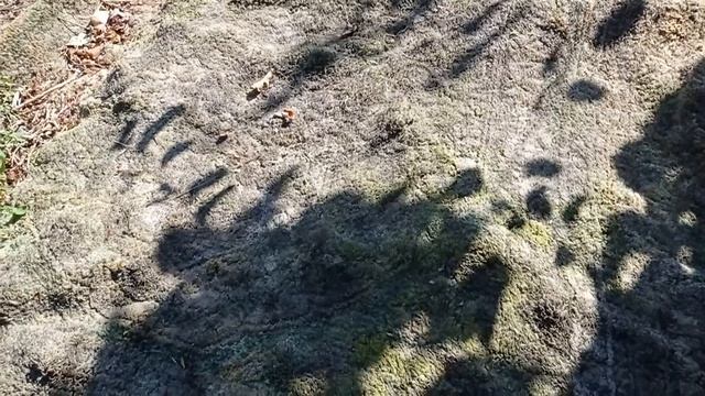 как разводят червяков для рыбалки в Волгограде смотреть онлайн