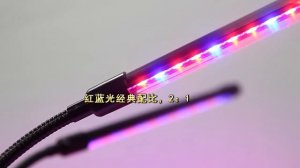 Фитолампа для растений