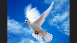 На Христа ты, как голубь, сошёл