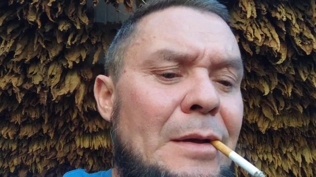 Burley38 дегустация