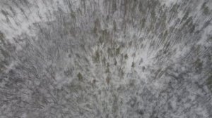 Садовое общество Левада 2021/ Gardens society Levada 2021