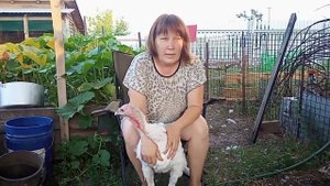 Большой,мягкий зоб у индюка,что делать?