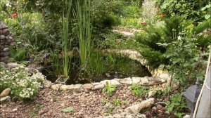 Прудик во дворе. Как можно обустроить прудик во дворе.