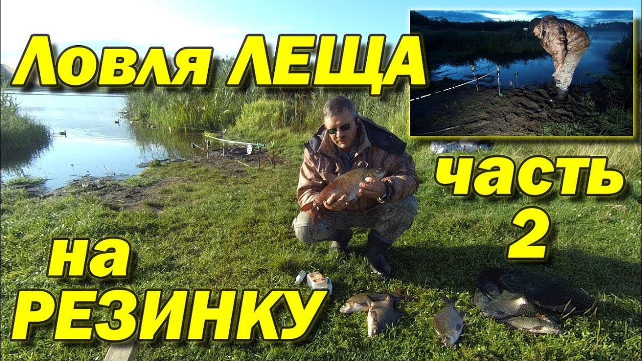 Рыбалка на резинку. Ловля леща ночью. Часть 2
