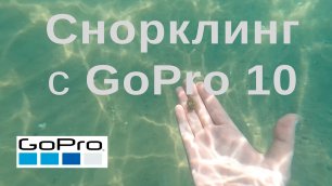 GoPro Hero 10 | Черное море - снорклинг 03/07/2022, смотреть в 4K - 03