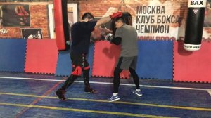 Бокс. Вход в ближний бой!