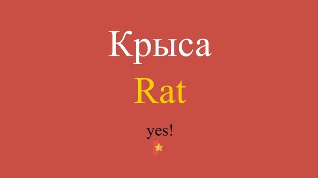 Крыса по-английски смотреть онлайн
