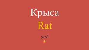 Крыса по-английски