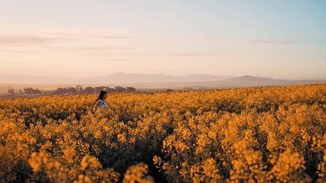 Волк унес нездорового младенца прямо из люльки на глазах у ошарашенного отца. То, что он... смотреть онлайн