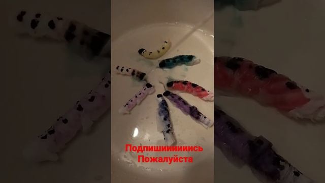 червячки из туалетной бумаги @sofitoffi