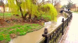 РЫБАЛКА В КРЫМУ,САЛГИР,ЛОВЛЯ ГОЛОВЛЯ.