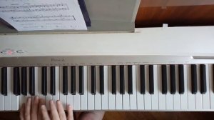 Б Берлин Пони Звёздочка