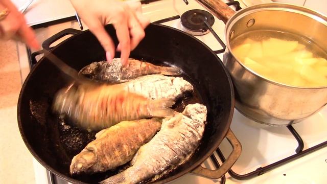 Караси с картофелем запеченные в сметане смотреть онлайн