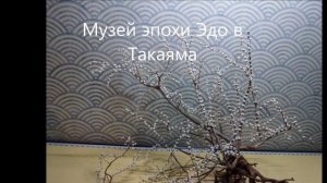 В ТАКАЯМА / ЯПОНИЯ (2016). PHOTO/VIDEO