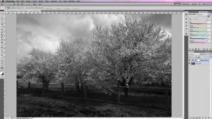 How To Change Color To Black And White In Photoshop