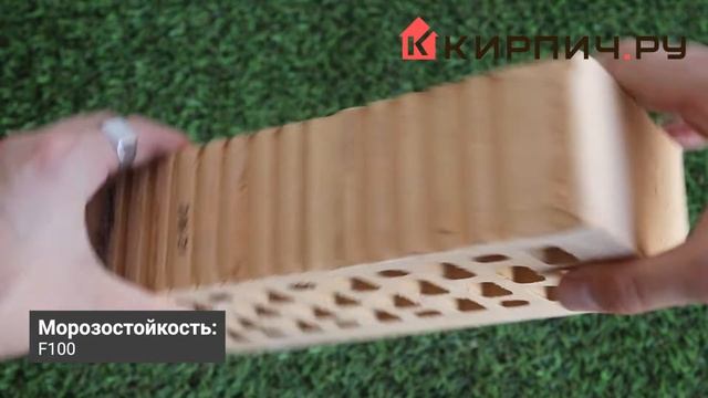 Кирпич облицовочный слоновая кость одинарный рустик М-175 Голицыно Код: 12902 смотреть онлайн