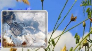 Сергей Чекалин  НЕЖНОЕ СЕРДЦЕ автор ролика Кондратьева О Р