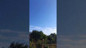 что готовили//котики//сломалась сплит система//большая нора в огороде//(3 недели назад)