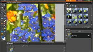 Photoshop Elements 9.0 Tutorial Image Magnification Adobe Training Lesson 3.7