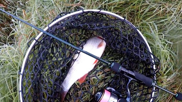 Спиннинг Zetrix Forra 672UL. Первые впечатления