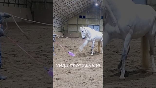 В бой!