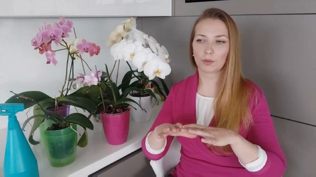 Уход за орхидеями фаленопсис. Основные правила. смотреть онлайн