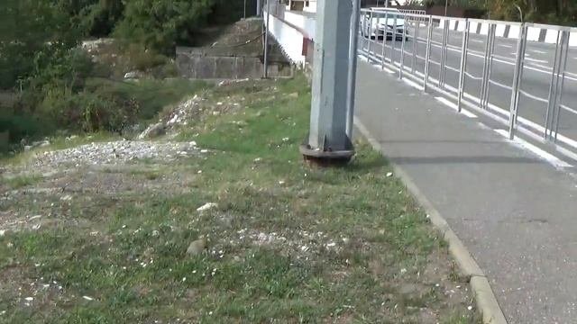 краснодарский край солоники / Солоники Лазаревское 2020 / тихорецкая 18 солоники