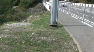 краснодарский край солоники / Солоники Лазаревское 2020 / тихорецкая 18 солоники