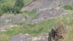 канал Саша Торопов  Разрез Милановского