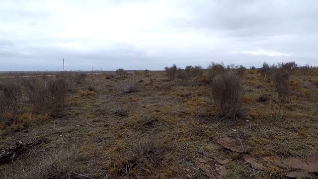 Первый Коп Металллома в 2019 году смотреть онлайн