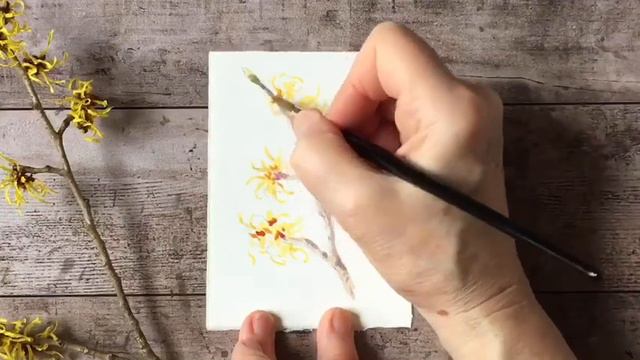 How To Paint Witch Hazel смотреть онлайн