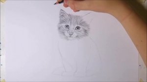 How to draw a realistic kitten part 2: Fur and details | Leontine van vliet