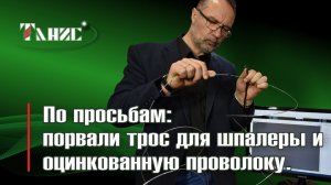 Порвали трос для шпалеры и оцинкованную проволоку. Почему при разрыве они ведут себя по-разному.