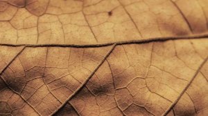 тебе подойдет и релакс.mp4