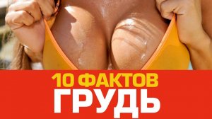 10 невероятных фактов о женской ГРУДИ