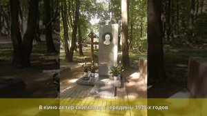 Толубеев, Андрей Юрьевич - Биография