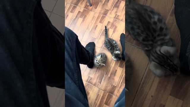 Провожают на работу смотреть онлайн