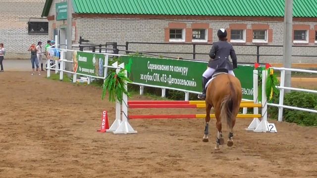 Золотисто-рыжая лошадь буденовской породы. Конкур. смотреть онлайн
