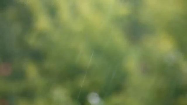 Расслабляющие звуки дождя, глубокое расслабление под звуки дождя смотреть онлайн