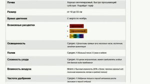 ПЕРЕСАДКА ОРХИДЕИ МЕТОДОМ ПЕРЕВАЛКИ НА ФИТИЛЬ. КАМБРИЯ! ХАРАКТЕРИСТИКА, СОДЕРЖАНИЕ, УХОД, ПОЛИВ!