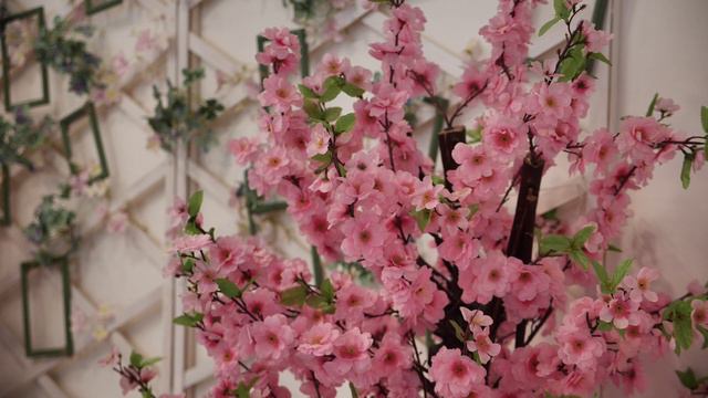 Выписка из роддома Софии 2024 смотреть онлайн