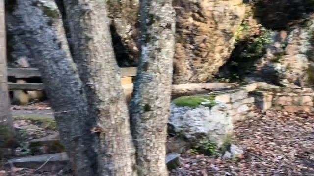 Ollolai/Nuoro/Sardegna/Sardinia