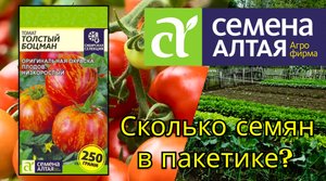 Обзор на семена томата Толстый Боцман от Семена Алтая. Сколько семян в пакетике?