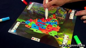 Цветные сражения. Обзор настольной игры от Игроведа