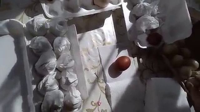 Отправляю инкубационное яйцо транспортной компанией. смотреть онлайн