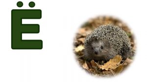 Слова на букву Ё (без голоса)